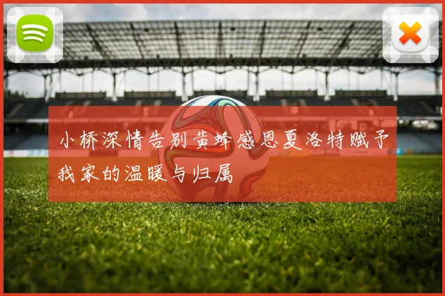 小桥深情告别黄蜂感恩夏洛特赋予我家的温暖与归属