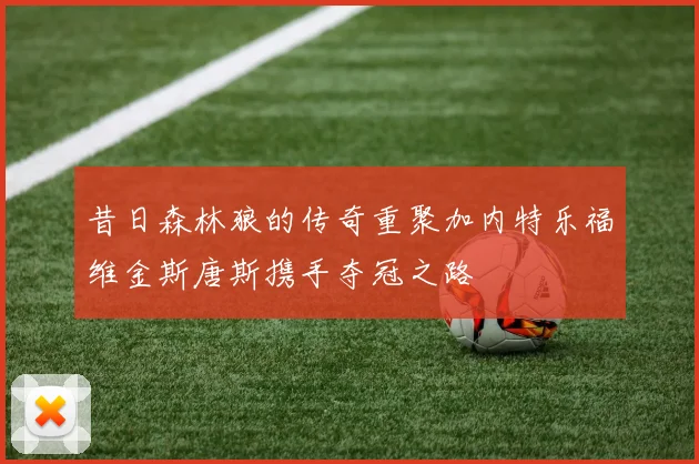 昔日森林狼的传奇重聚加内特乐福维金斯唐斯携手夺冠之路